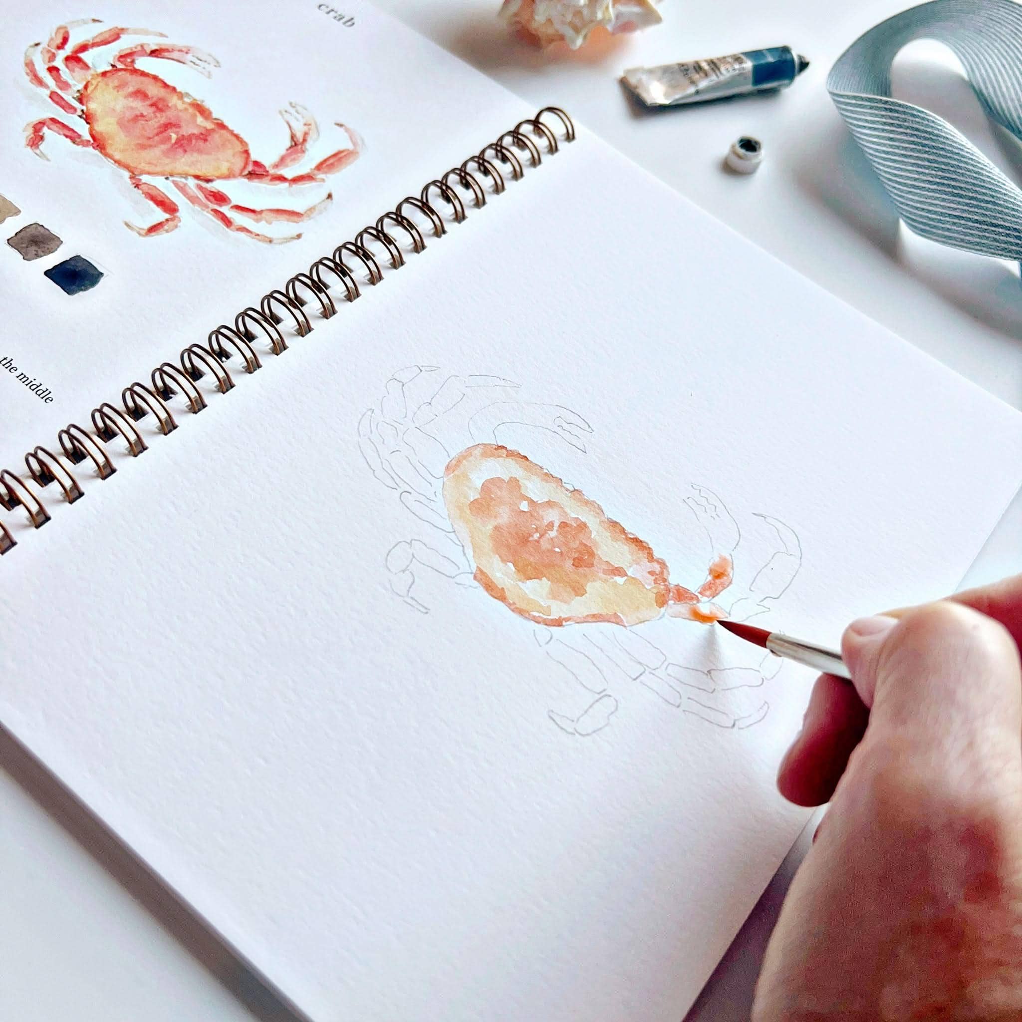 Artistic process of painting a crab illustration in a sketchbook with watercolor paints.