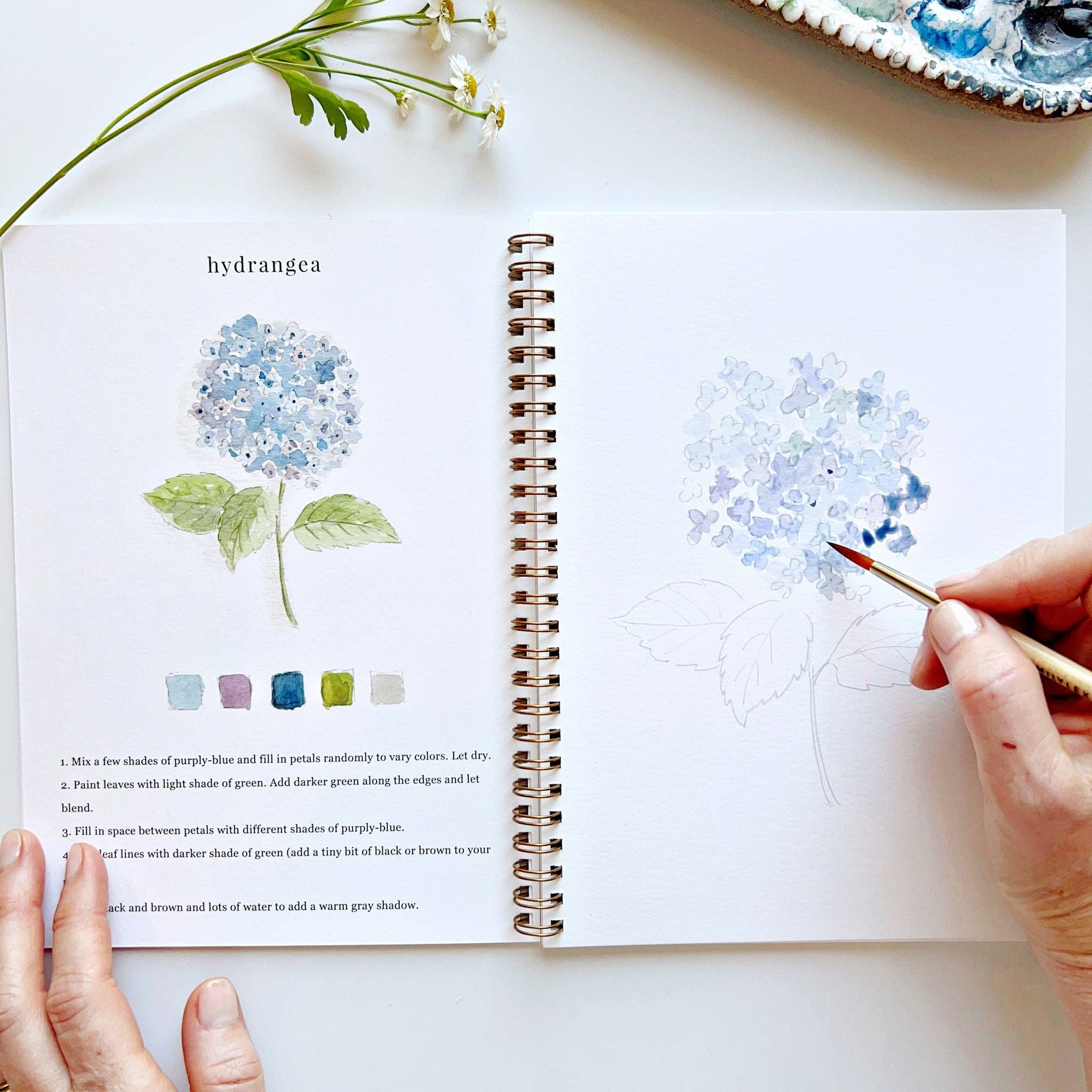 Person drawing hydrangeas in a sketchbook with a paintbrush