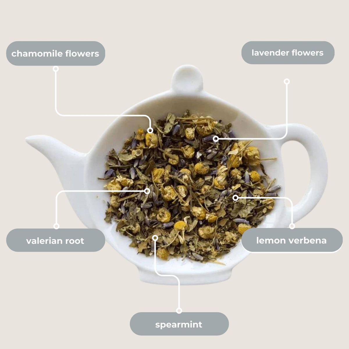 Tea leaves with labeled chamomile flowers, lavender flowers, valerian root, lemon verbena, and spearmint in a white teapot.