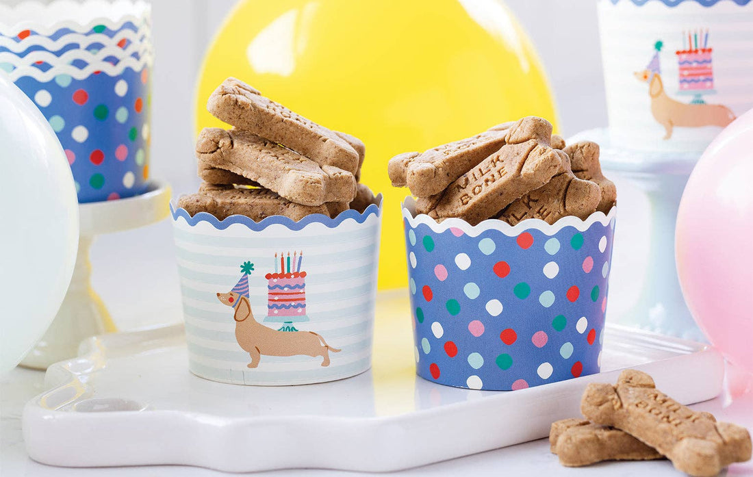 Two small containers with dog treats on a white surface, surrounded by balloons and a toy.