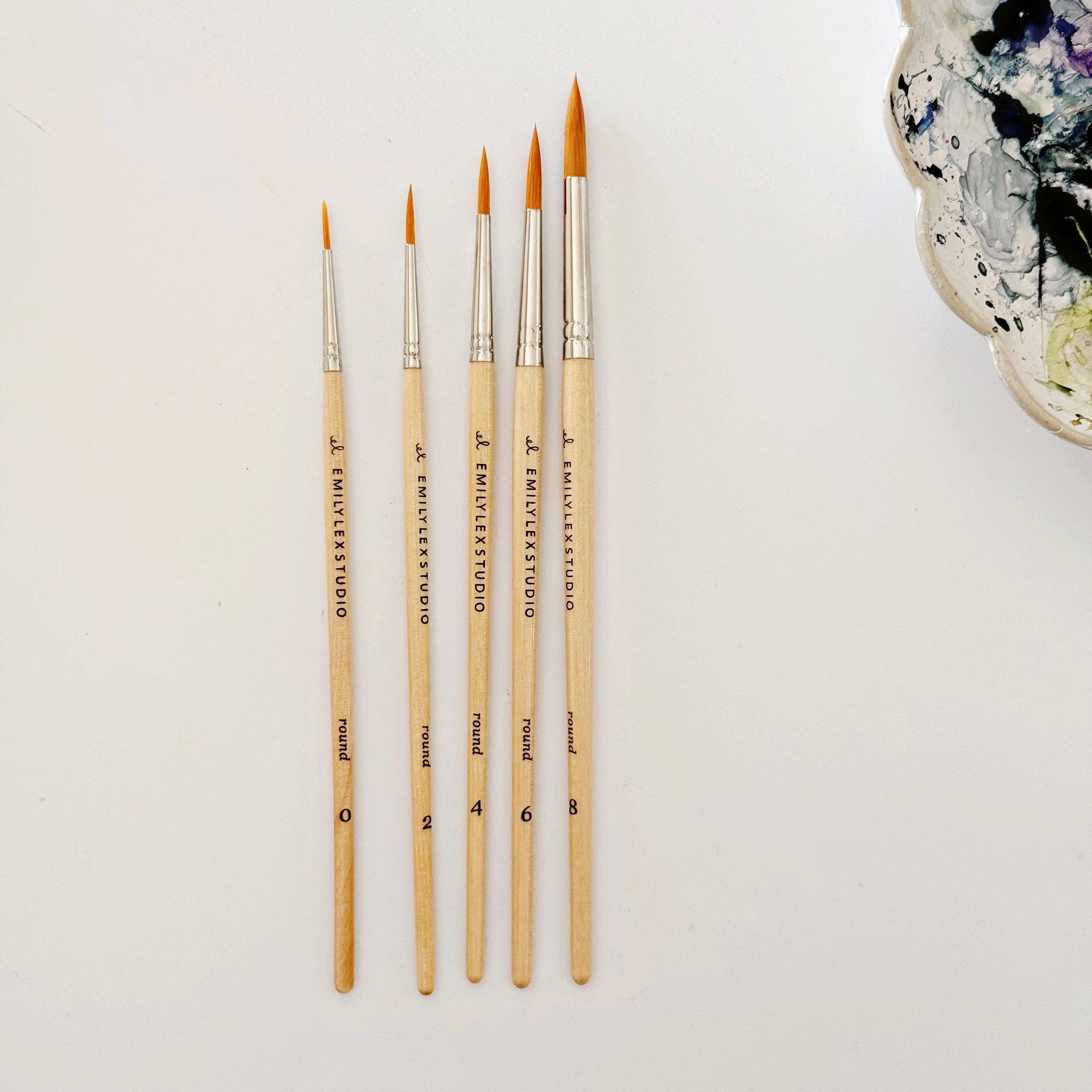 Set of paint brushes with varying sizes on a white background
