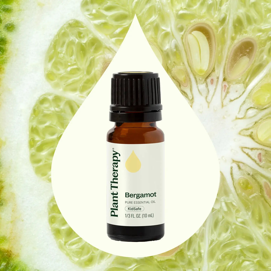 Bottle of Plant Therapy Bergamot essential oil with a bergamot fruit background
