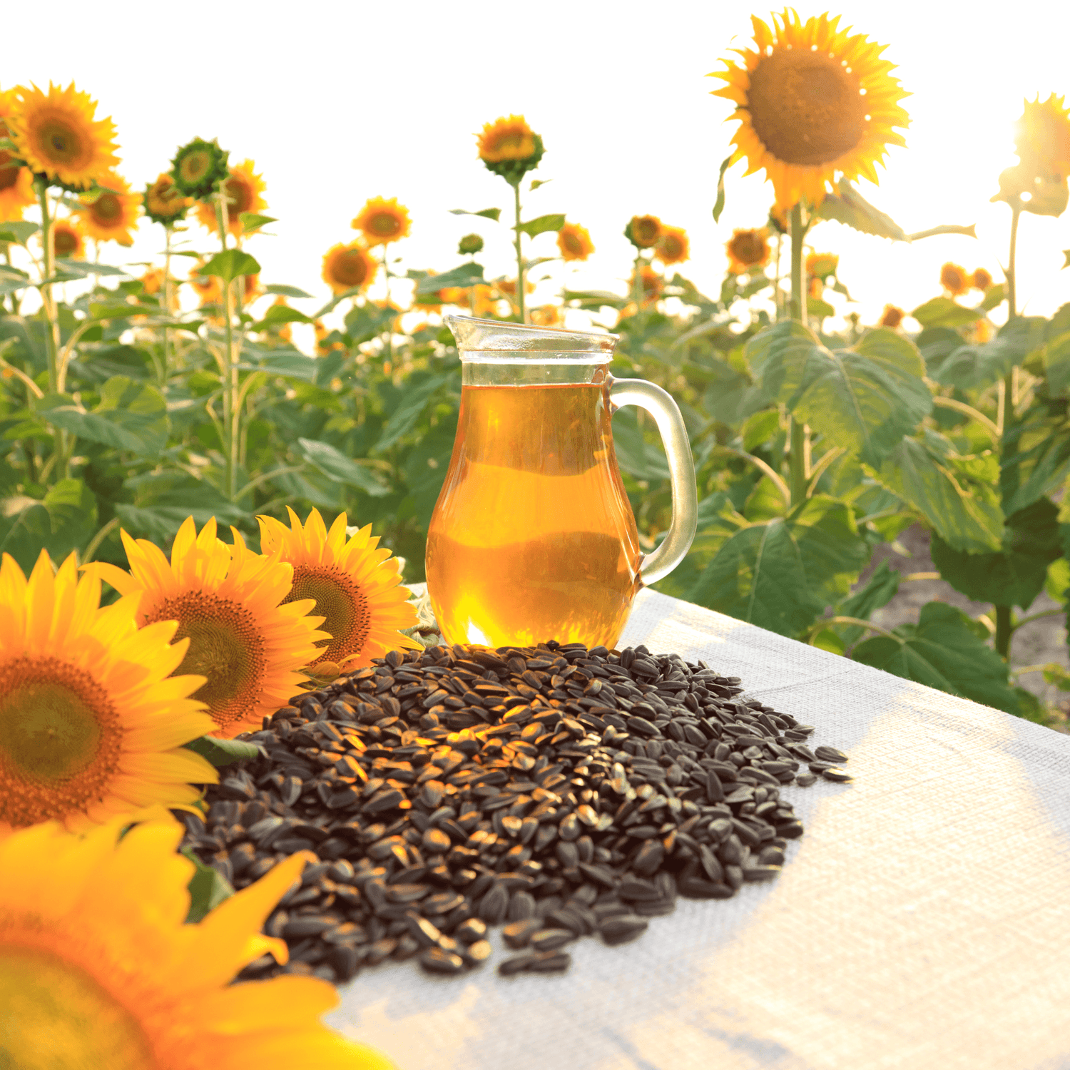 fresh sunflower seeds on a table in a sunflower field