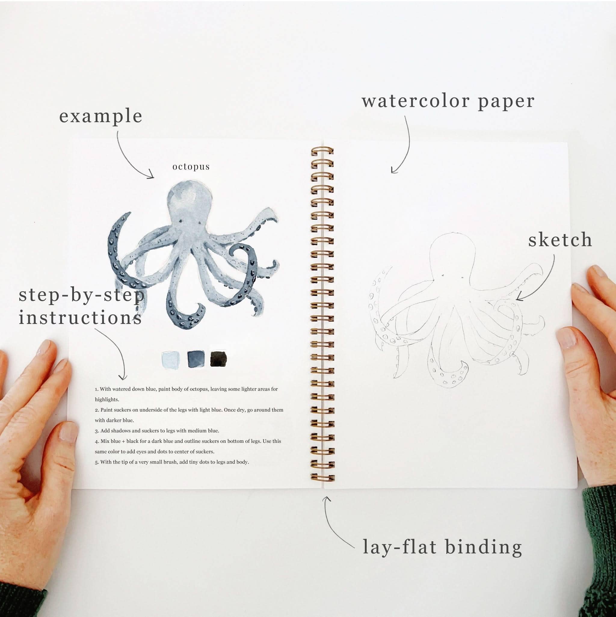 Open notebook with octopus illustration, watercolor paper, and step-by-step instructions on a white background.