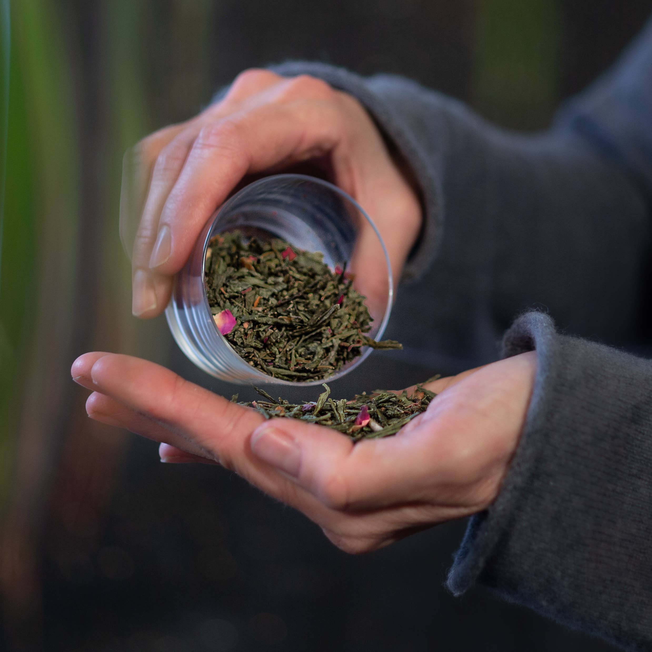 Person holding a small container of green herbs with a blurred natural background