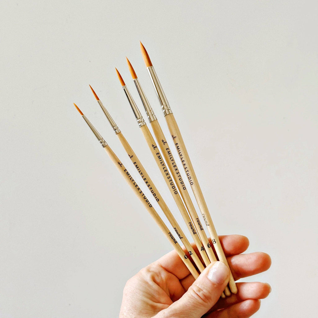 Watercolor Paintbrush (Set of 5)