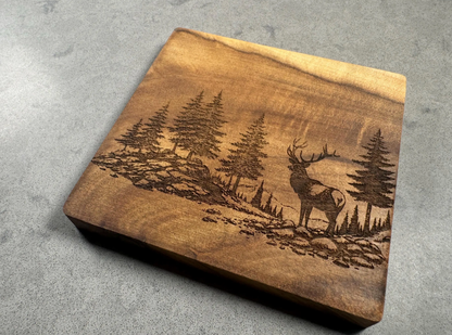 A square wooden coaster with a natural live edge, featuring a laser-engraved forest scene with a deer and pine trees, shown on a gray concrete surface.