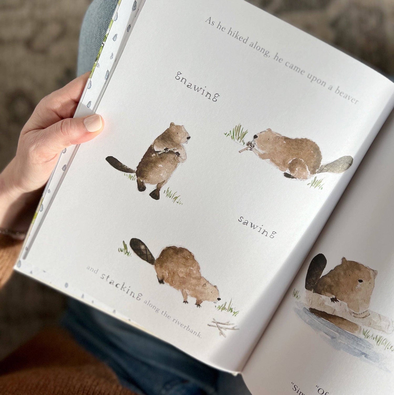 Book open to a page with illustrations of beavers and text.