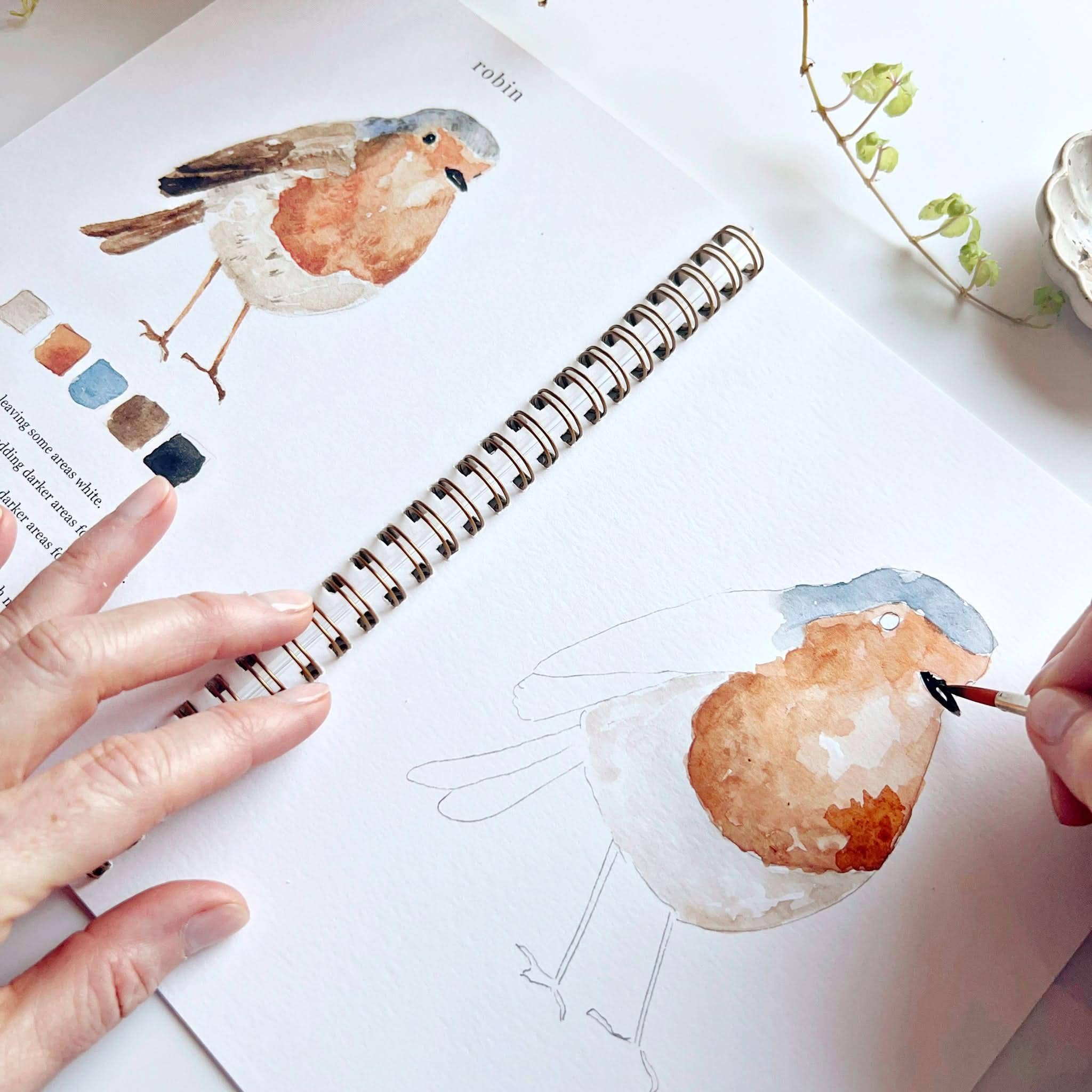 Person painting a robin illustration in a sketchbook with watercolors