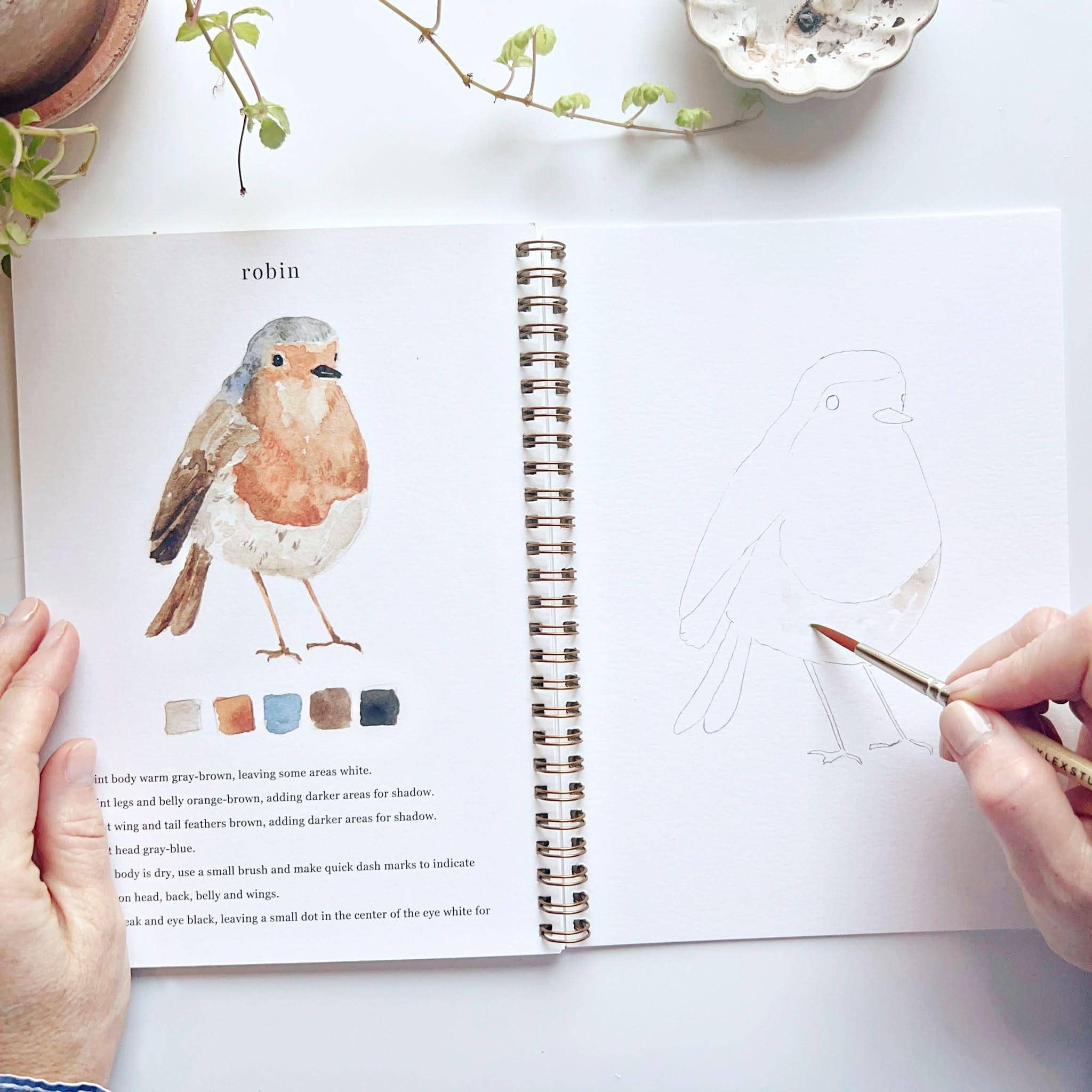 Open book with illustration of a robin and drawing of a bird on a white surface.