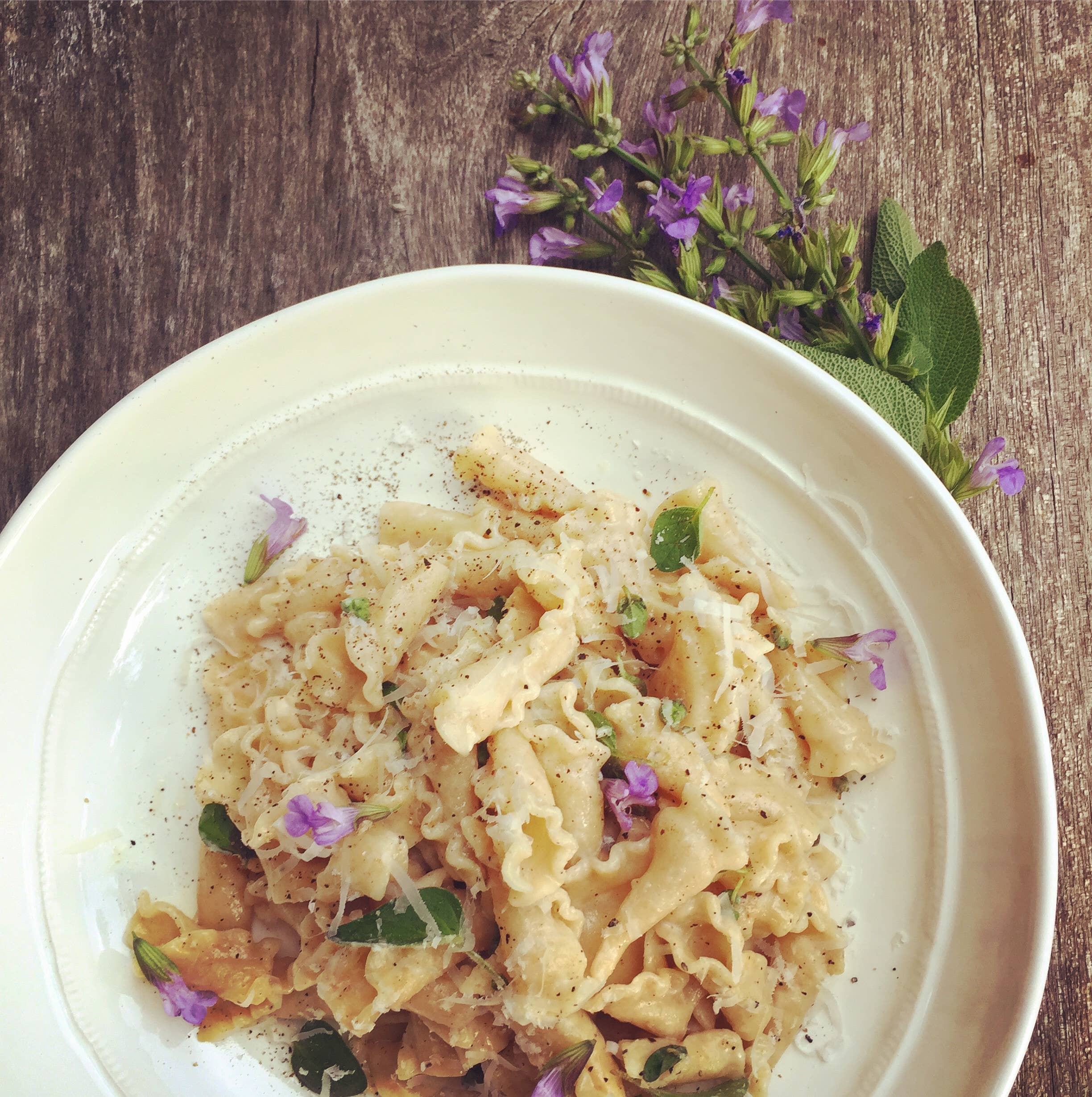 A close-up shot of a creamy pasta dish served on a white plate, garnished with herbs and small purple flowers, set on a rustic wooden table with a sprig of fresh herbs in the corner.