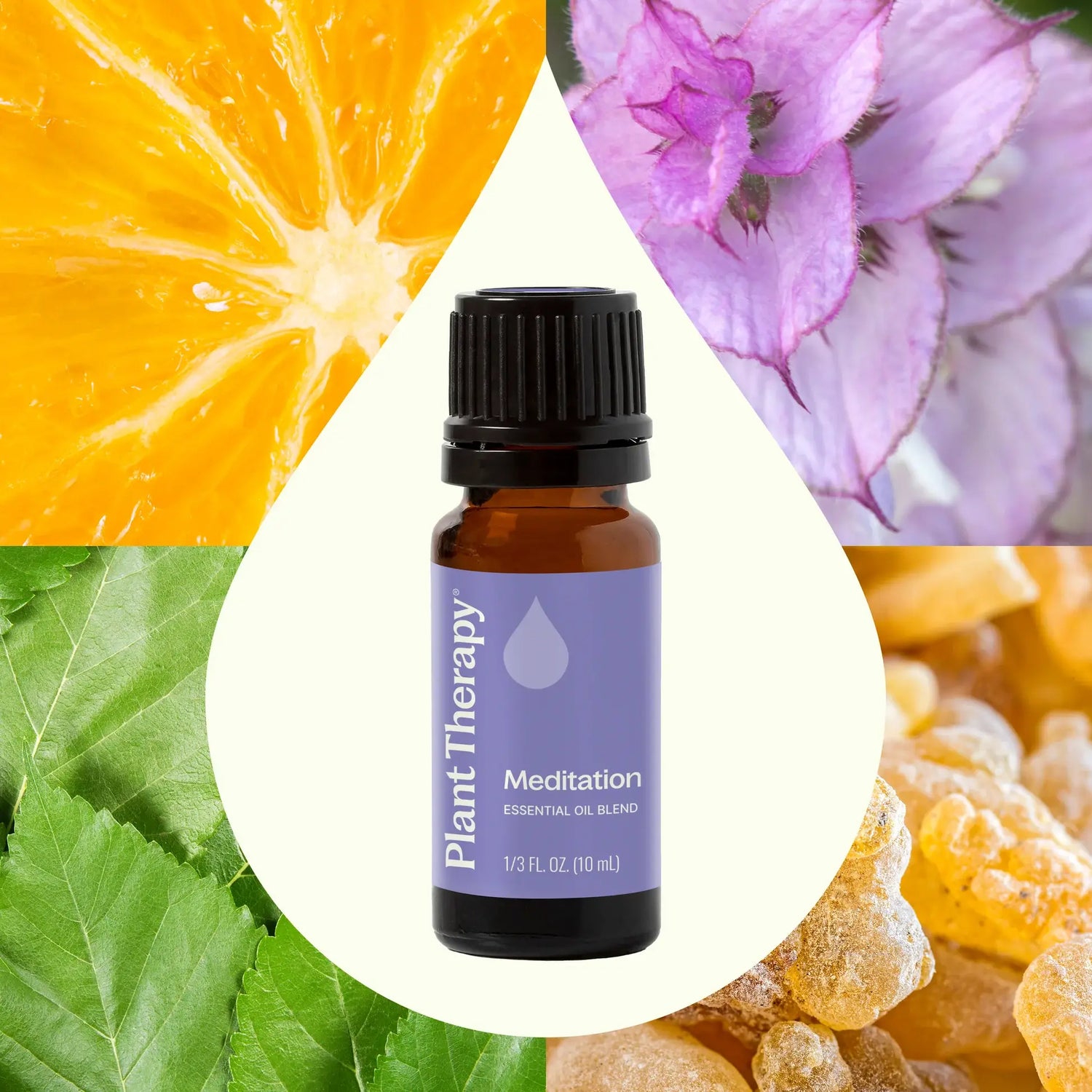 Meditation Essential Oil Blend 10 mL