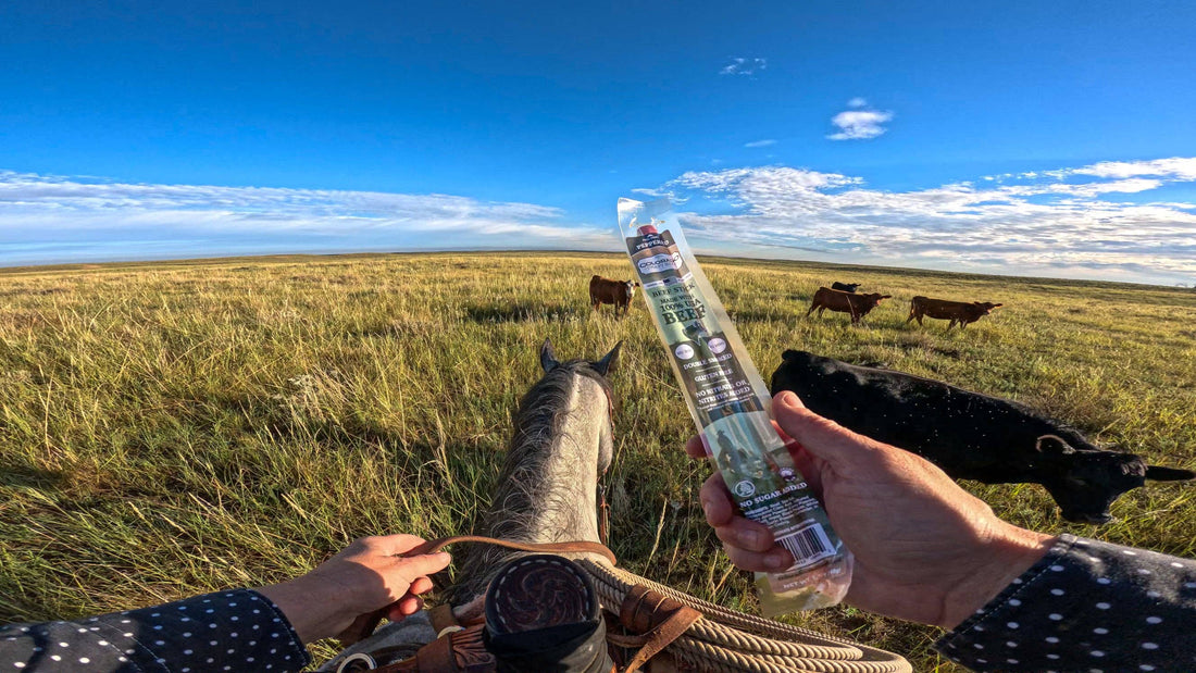 Person holding a beef stick with a scenic landscape of a horse and cows in the background.