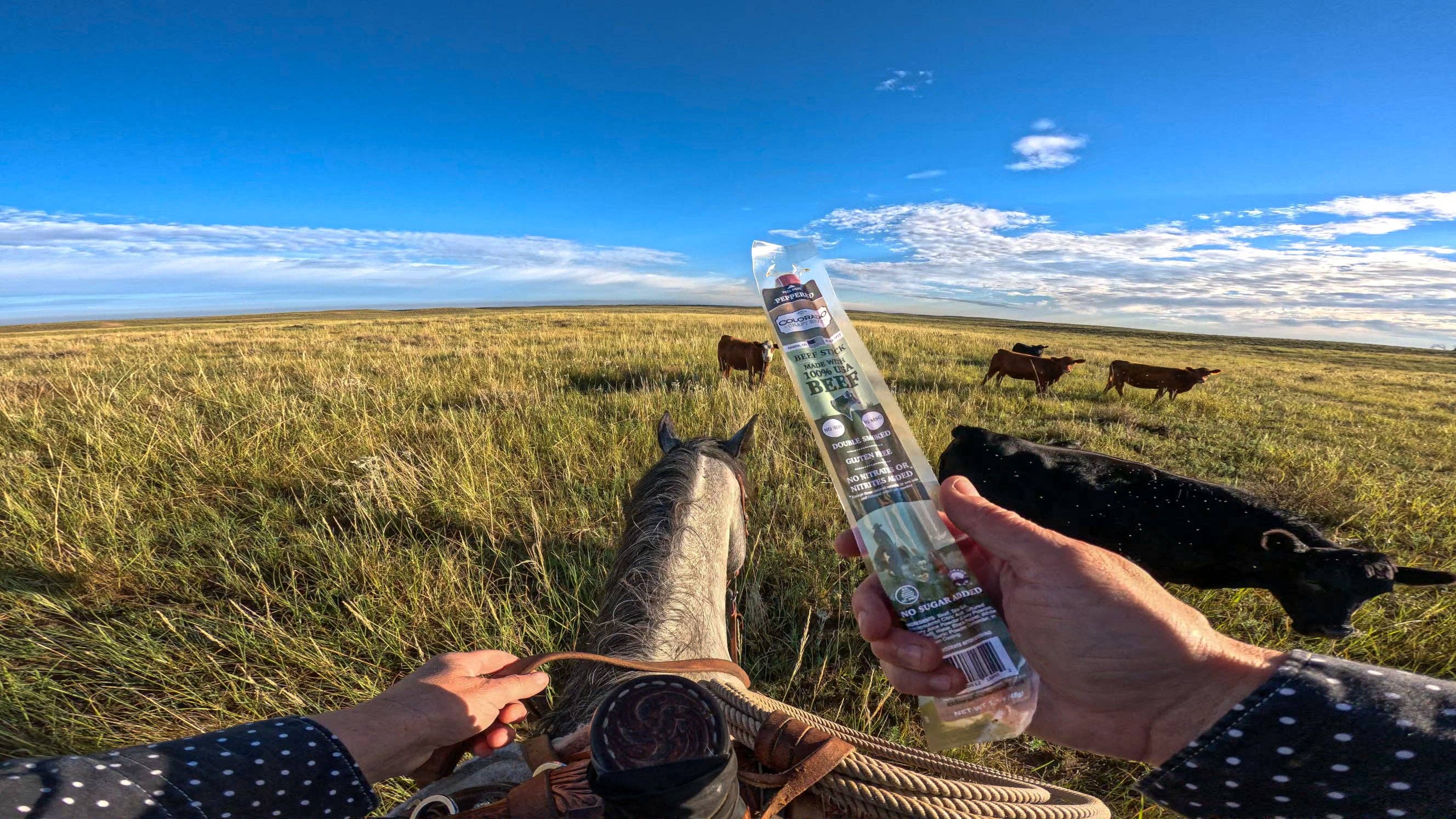 Person holding a beef stick with a scenic landscape of a horse and cows in the background.