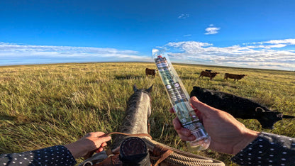 Person holding a beef stick with a scenic landscape of a horse and cows in the background.
