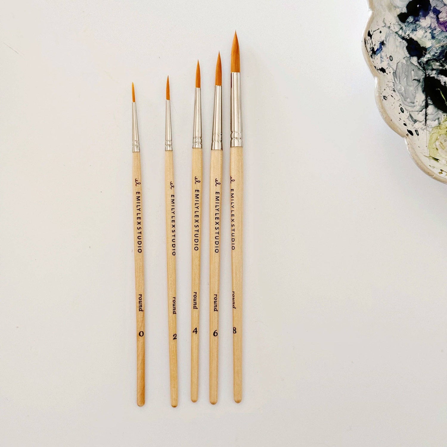 Set of paint brushes with varying sizes on a white background