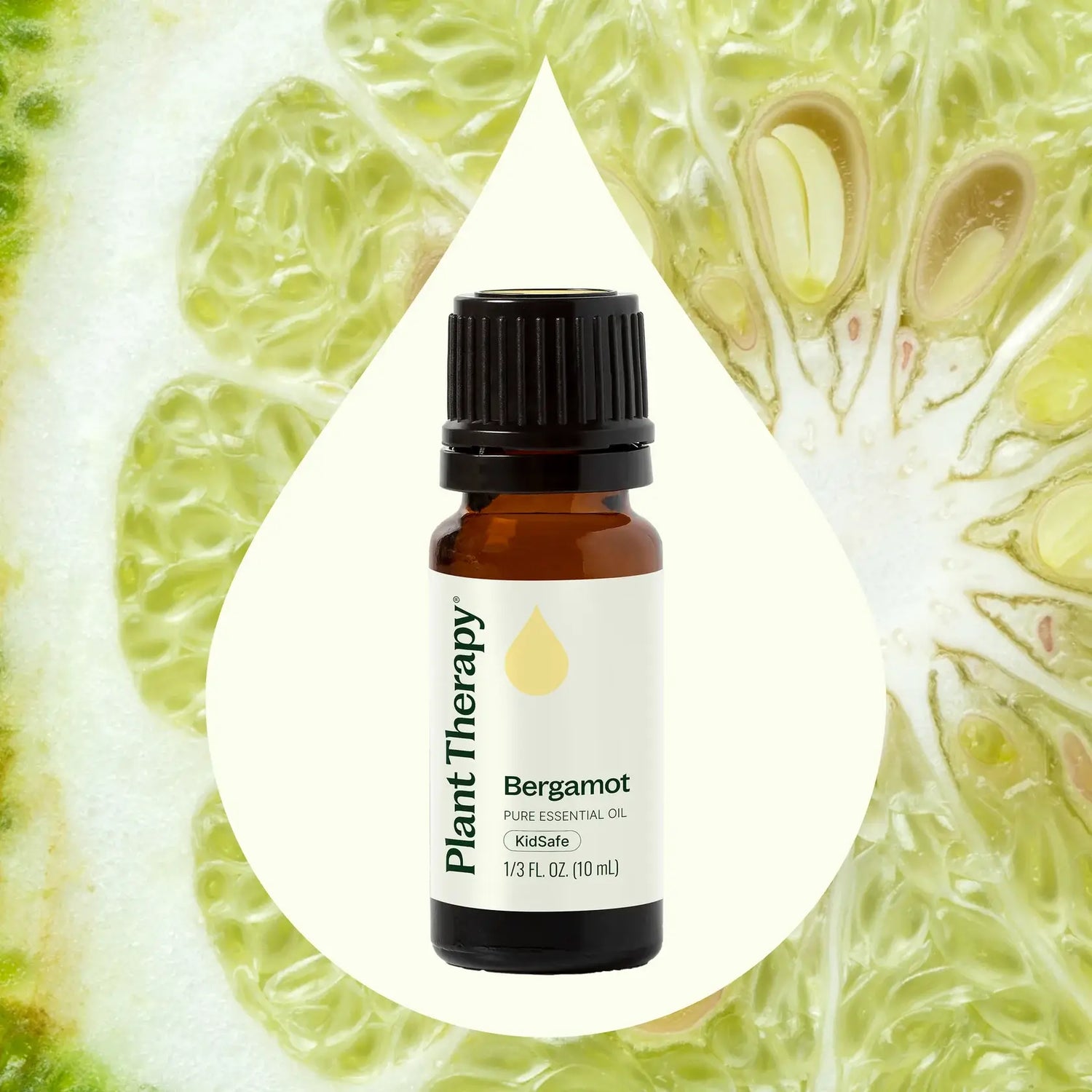 Bottle of Plant Therapy Bergamot essential oil with a bergamot fruit background