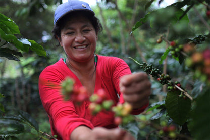 Peru Whole Bean Coffee