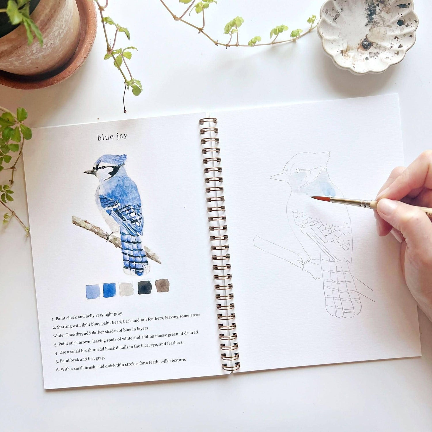 Open book with a blue jay illustration and hand holding a paintbrush
