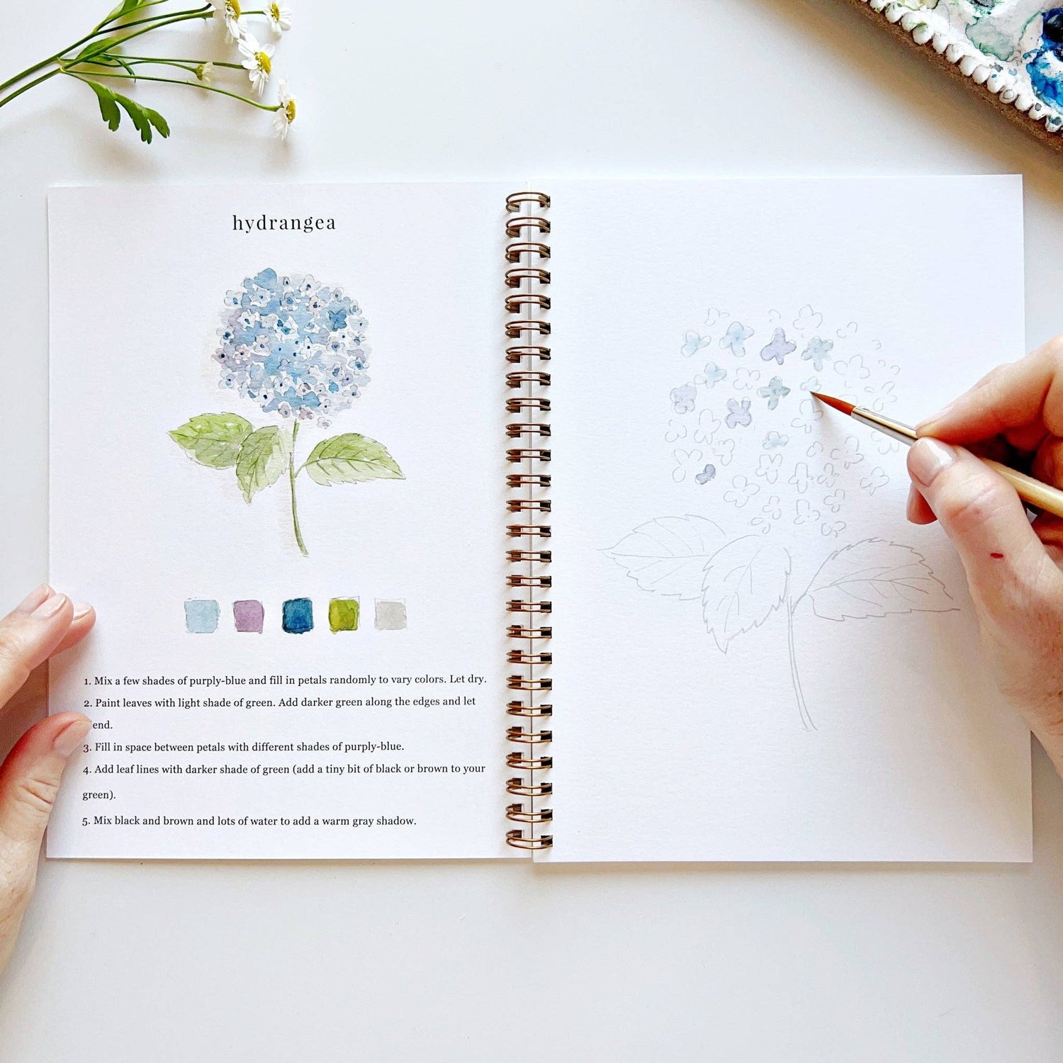 Open book with a drawing of a hydrangea and a hand holding a pen, on a white surface.